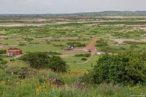 Amboseli National Park 05