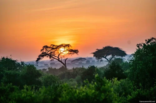 Amboseli National Park 10