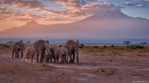 Amboseli National Park 14