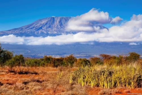 Amboseli National Park 16