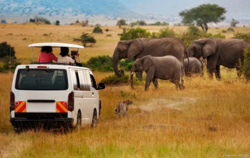 Amboseli National Park 21