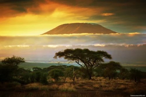 Amboseli National Park 25