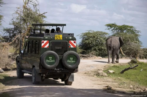 Amboseli National Park 30