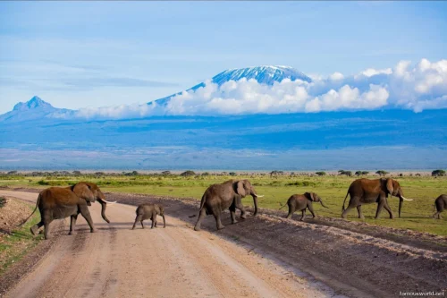 Amboseli National Park 31