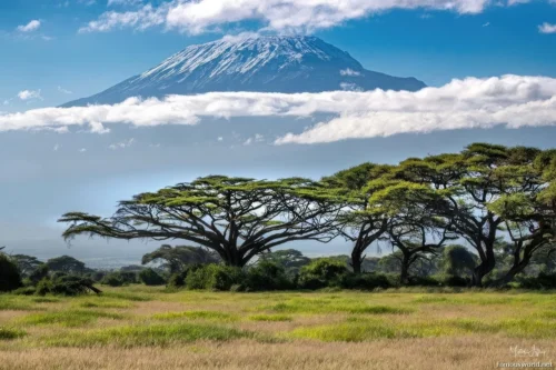 Amboseli National Park 32
