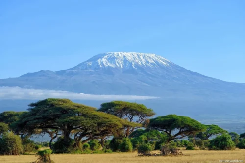 Amboseli National Park 34