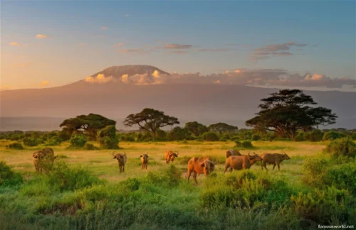 Amboseli National Park 35