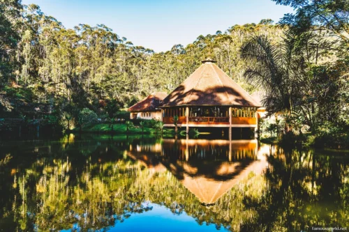 Andasibe-Mantadia National Park 07