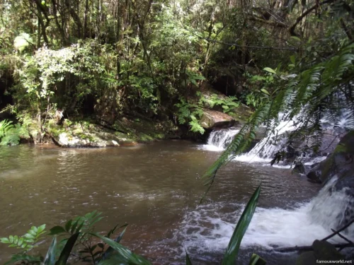 Andasibe-Mantadia National Park 09