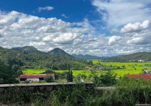 Andasibe-Mantadia National Park 16