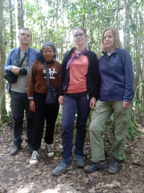 Andasibe-Mantadia National Park 17