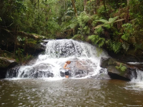 Andasibe-Mantadia National Park 35