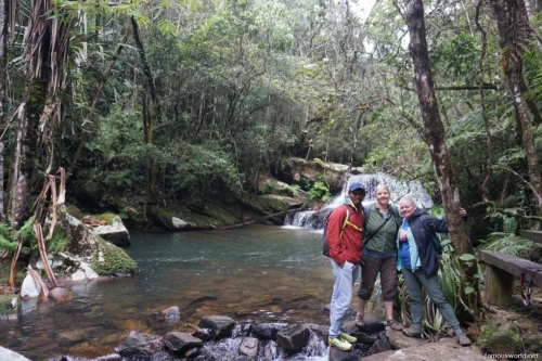 Andasibe-Mantadia National Park 38