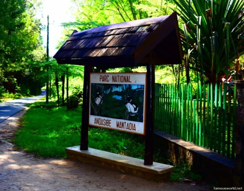 Andasibe-Mantadia National Park 41