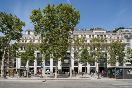 Avenue des Champs-Elysees 05