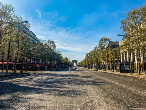 Avenue des Champs-Elysees 06
