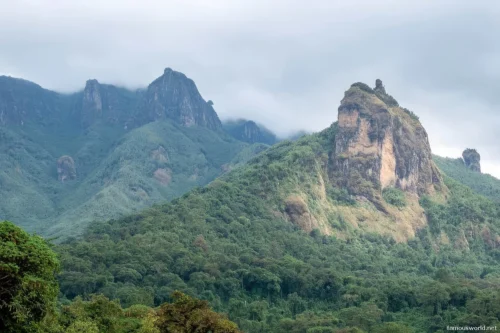 Bale Mountains National Park 06