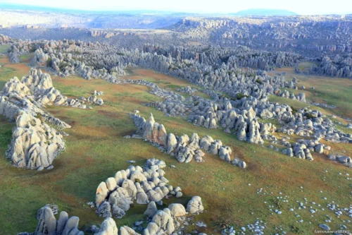 Bale Mountains National Park 26