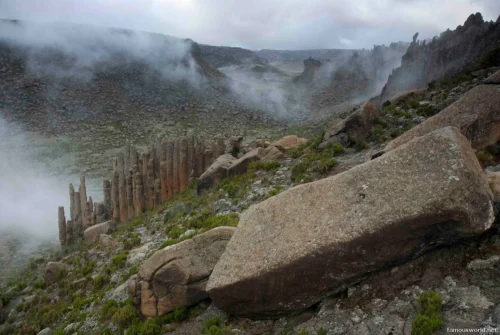Bale Mountains National Park 36