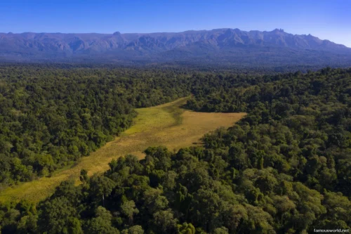 Bale Mountains National Park 37
