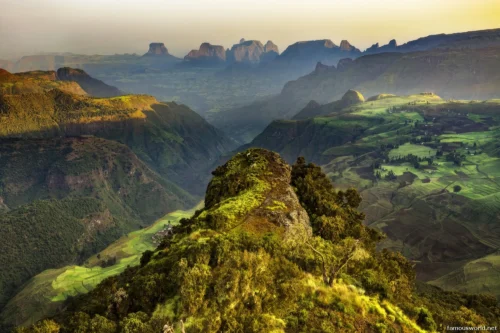 Bale Mountains National Park 47