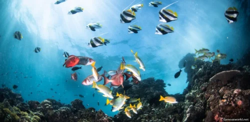 Bazaruto Archipelago 19