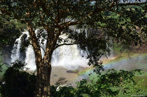 Blue Nile Falls 18