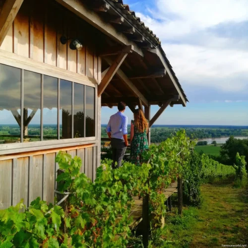 Bordeaux and its Vineyards 01