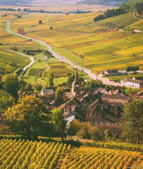 Bordeaux and its Vineyards 02