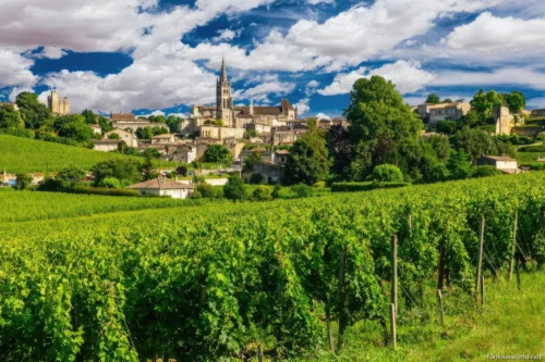 Bordeaux and its Vineyards 03