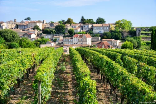 Bordeaux and its Vineyards 07