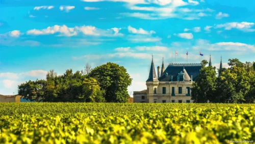 Bordeaux and its Vineyards 10