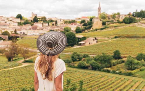 Bordeaux and its Vineyards 26