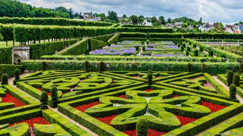 Château de Villandry 30
