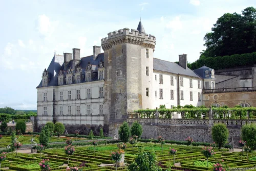 Château de Villandry 34