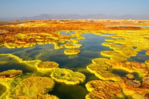 Danakil Depression 04