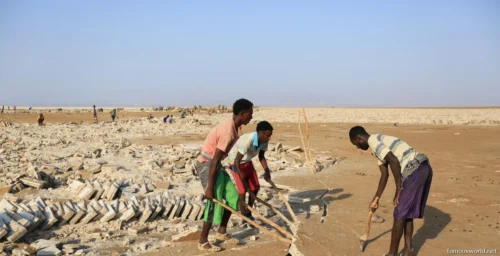 Danakil Depression 15