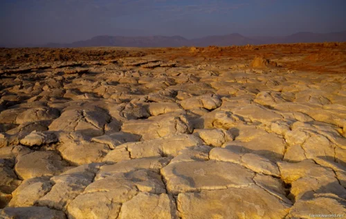 Danakil Depression 34