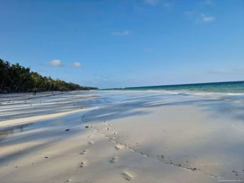 Diani Beach 08