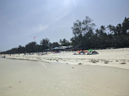 Diani Beach 18