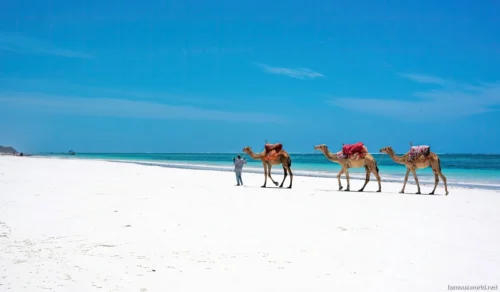 Diani Beach 22