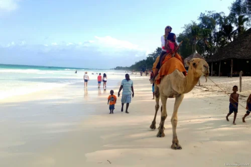 Diani Beach 33