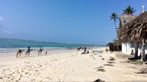 Diani Beach 36