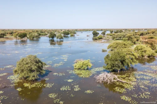 Dinder National Park 11