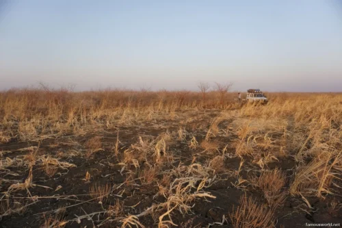 Dinder National Park 13