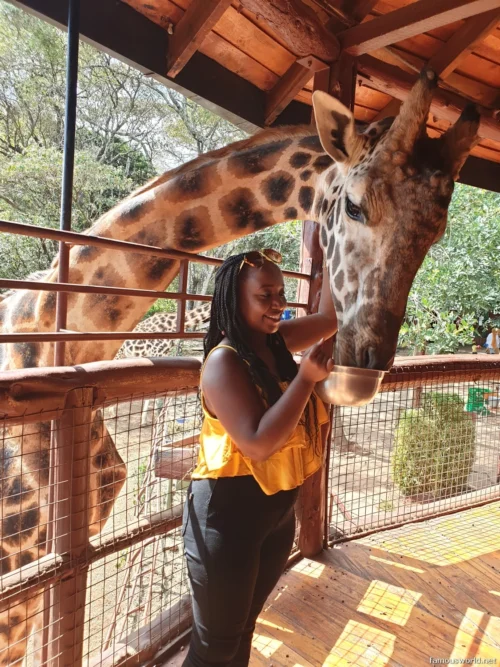Giraffe Centre (Nairobi) 04