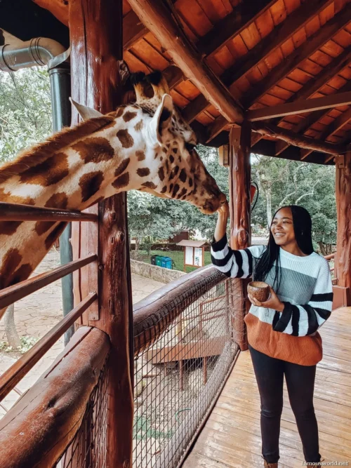 Giraffe Centre (Nairobi) 31