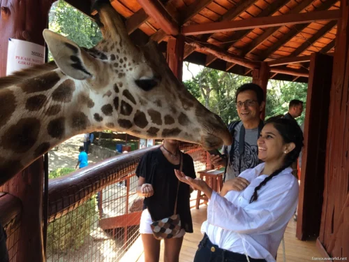 Giraffe Centre (Nairobi) 42