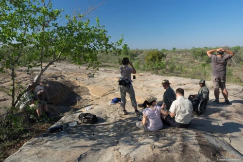 Gorongosa National Park 02