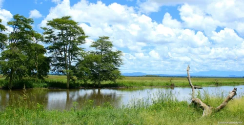 Gorongosa National Park 05